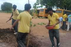 Van Mahotsav